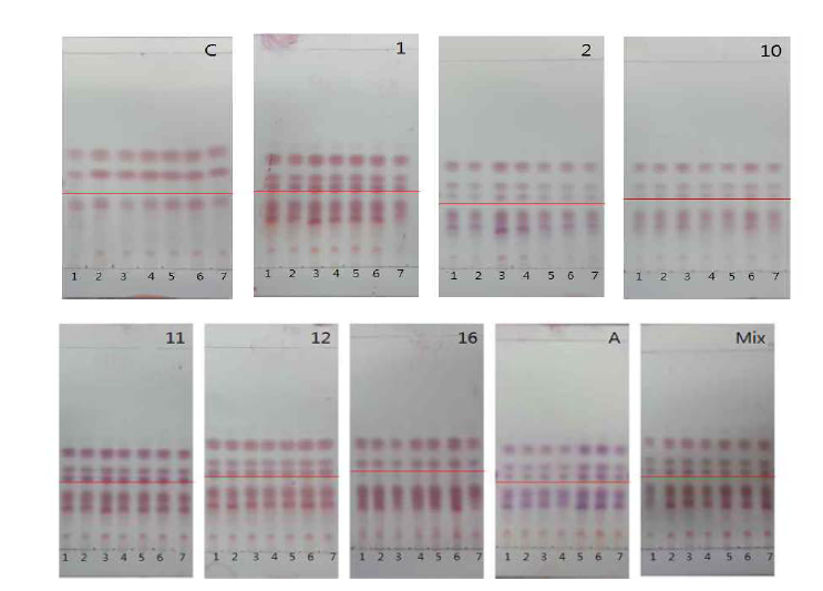 유산균 무증자 발효 자색고구마의 GABA TLC 정성 분석