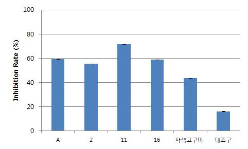 유산균 무증자 발효 자색고구마의 3T3-L1의 생육저해활성