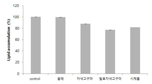 무증자 발효자색고구마와 시제품 항비만활성