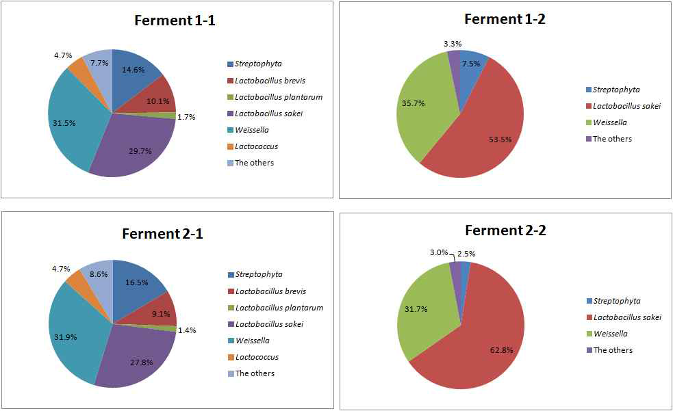 Bacteria of ferments