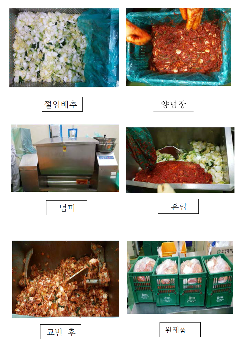 Production of Kimchi