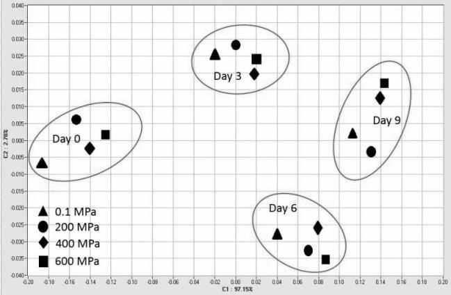 Principal component analysis of aroma pattern from DFD beef loin treated with different pressure and its changes during chilled storage as revealed by electronic nose