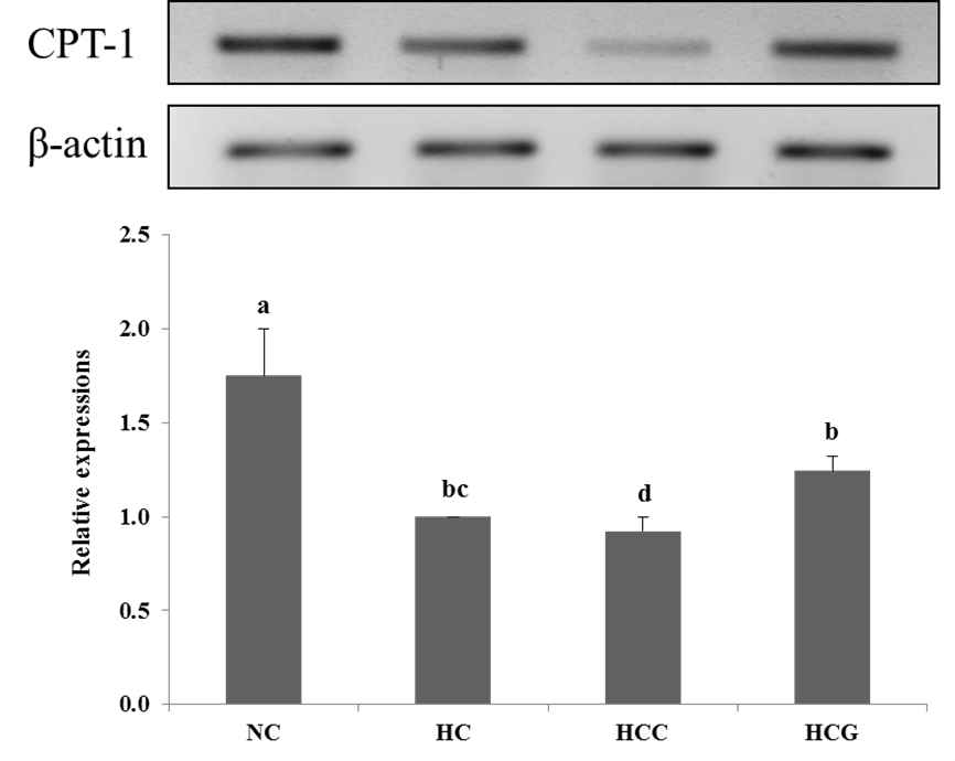 Effects of grass-fed cow’s milk feeding on hepatic CPT-1 gene expression in high-fat diet fed C57BL/6 mice