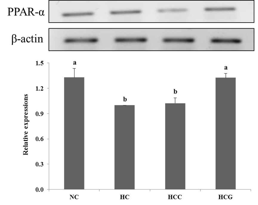 Effects of grass-fed cow’s milk feeding on hepatic PPAR-α gene expression in high-fat diet fed C57BL/6 mice