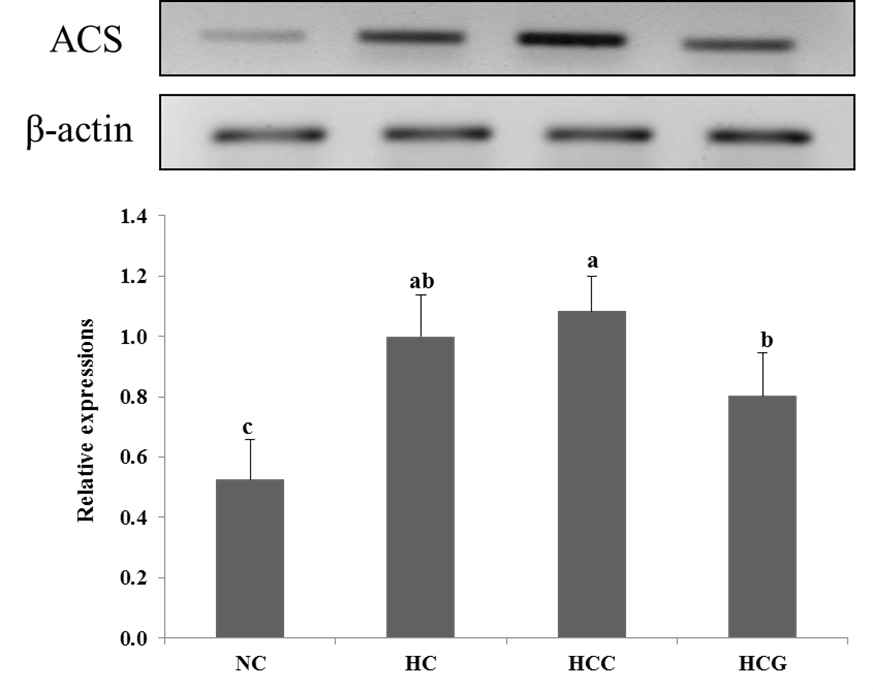 Effects of grass-fed cow’s milk feeding on hepatic ACS gene expression in high-fat diet fed C57BL/6 mice