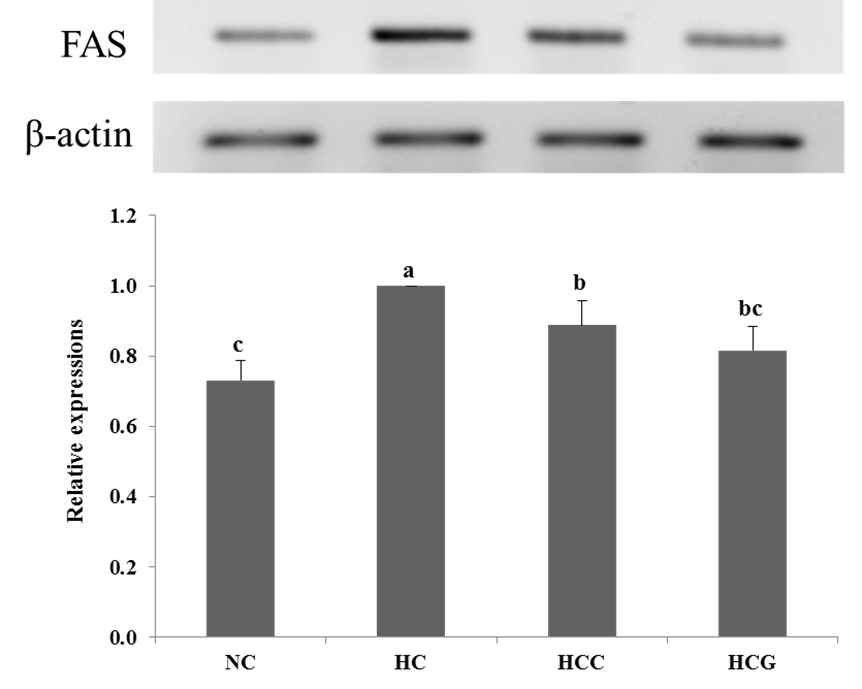 Effects of grass-fed cow’s milk feeding on hepatic FAS gene expression in high-fat diet fed C57BL/6 mice