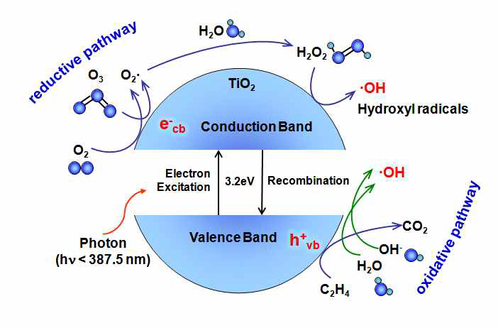 이산화티타늄 표면에서 자외선에 의한 수산화라디칼 형성 기작