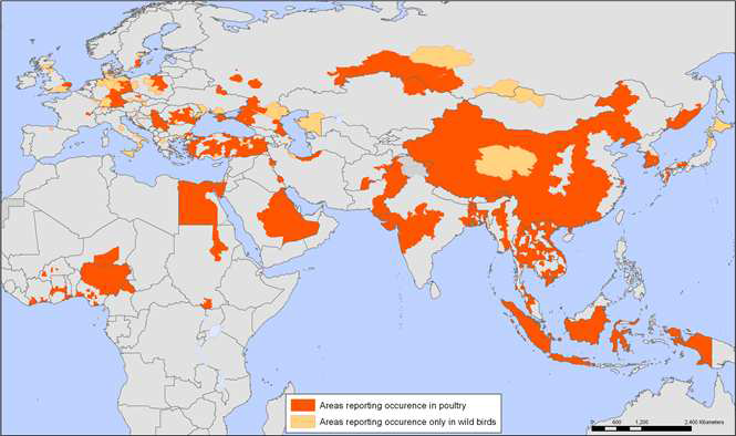 2003년 이후 H5N1 조류독감의 발생지역