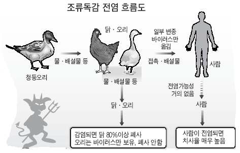 조류독감의 전파 경로