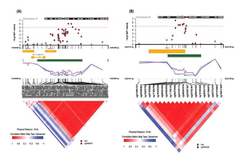 Methylation and comethylation profiles of the (A) NKX6-2 and (B) THBD. Circles represent the p values of the methylation difference between H. pylori positive and negative groups per locus.