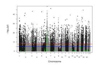 mQTL between SNP and DNA methylation were highlighted with DMR bysite delta-beta > 8% in case-control comparing model.