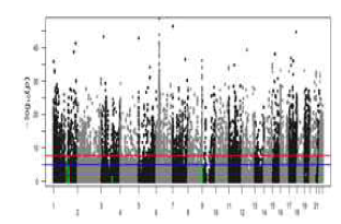 mQTL between SNP and DNA methylation were highlighted with GWAS gene in case-control comparing model.