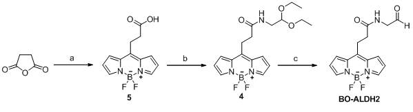 Synthesis of compound 5, 4 and BO-ALDH2: Reagent and conditions.