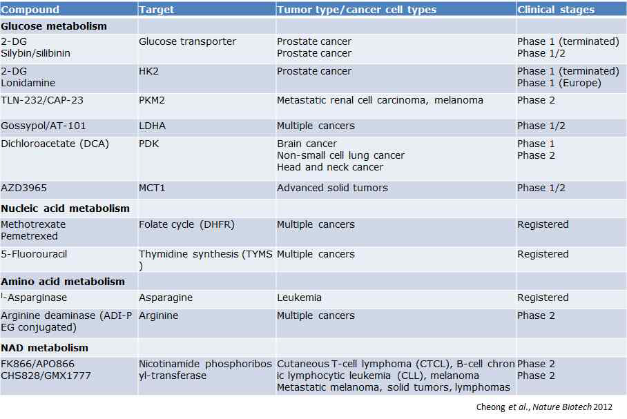 Potential therapeutic compounds targeting metabolic enzymes of tumors
