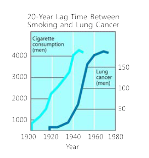 Cigarette consumption and lung cancer rates