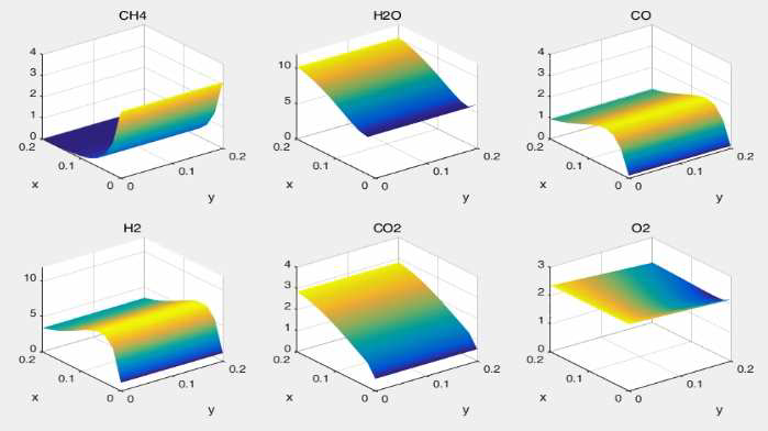Concentration of each component according to position in planar SOFC with cross-flow pattern