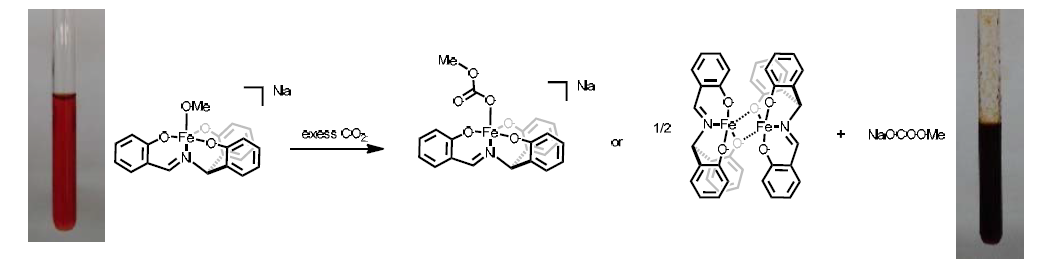 Reaction of (NO3)Fe(OMe) with CO2 revealing the reactivity of a 5-coordinate iron complex toward CO2.