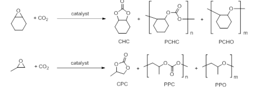 CO2 polymerization reactions.