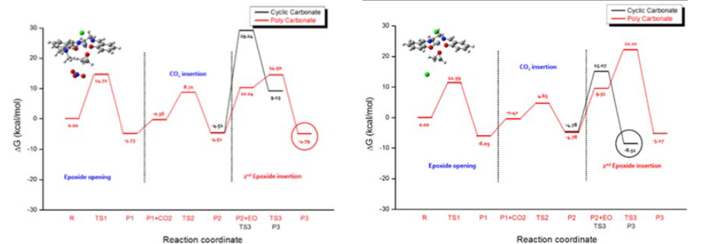 Reaction profile for competition between cyclic- and poly- carbonates formation from CO2 and epoxide.