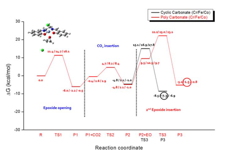 Reaction profile for competition between cyclic- and poly- carbonates formation from CO2 and epoxide.