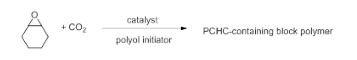 CO2 polymerization reactions.