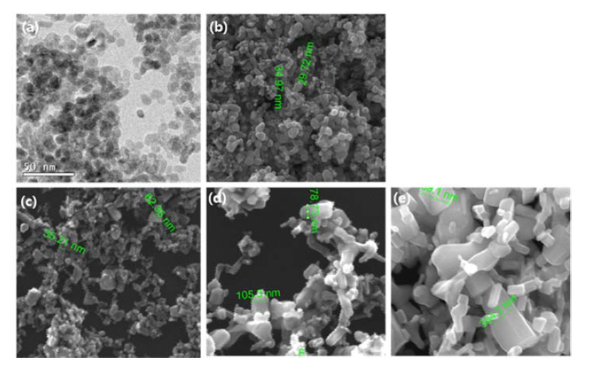 SEM and TEM images representing (a) 10 nm ZnO NPs (b) 25 nm ZnO NPs, (c) 50 nm ZnO NPs, (d) 100 nm ZnO NPs, and (e) Bulk ZnO.