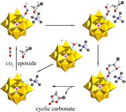 Mechanistic steps for CO2 and epoxide over transition metal substituted polyoxometalate.