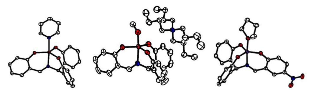 Crystal structures of monomeric (NO3)M complexes.