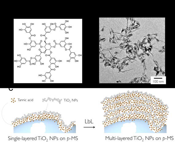 (a) 탄닌산의 분자구조. (b) Sol-gel법으로 합성된 TiO2 나노입자의 TEM 사진. (c) 탄닌산/TiO2 LbL 공정을 통해 TiO2 나노입자를 다공성 미립구에 점착시키는 과정에 대한 모식도.