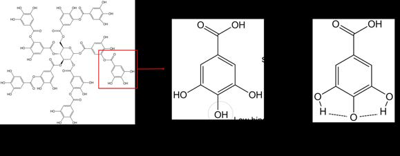 탄닌산 말단의 galloyl 기와 유사한 갈산 (gallic acid)에서 라디칼이 제거되는 메커니즘.