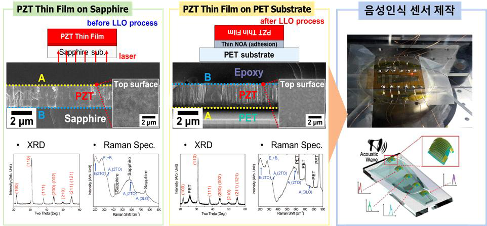 PZT 압전 박막의 전사 전과 후의 비교 SEM 사진 및 XRD, RAMAN spectra를 통해 음성인식 센서 제작