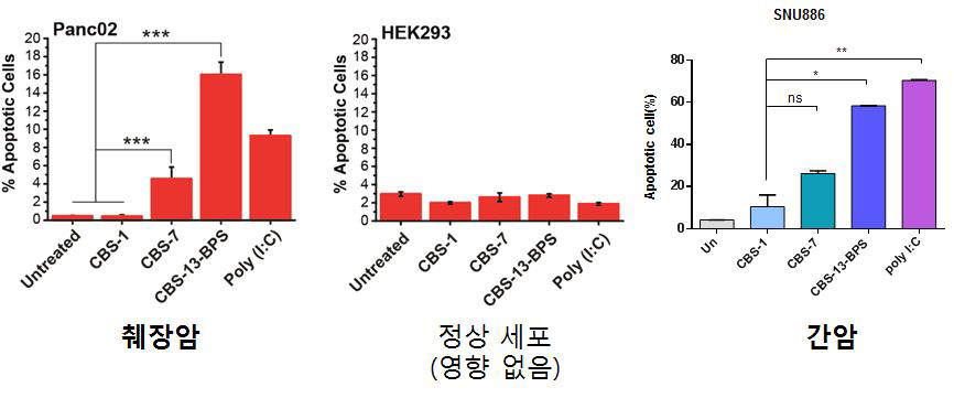 췌장암, 간암 세포에 CBS RNA를 투여하였을 때 암세포의 사멸이 일 어남을 확인함.