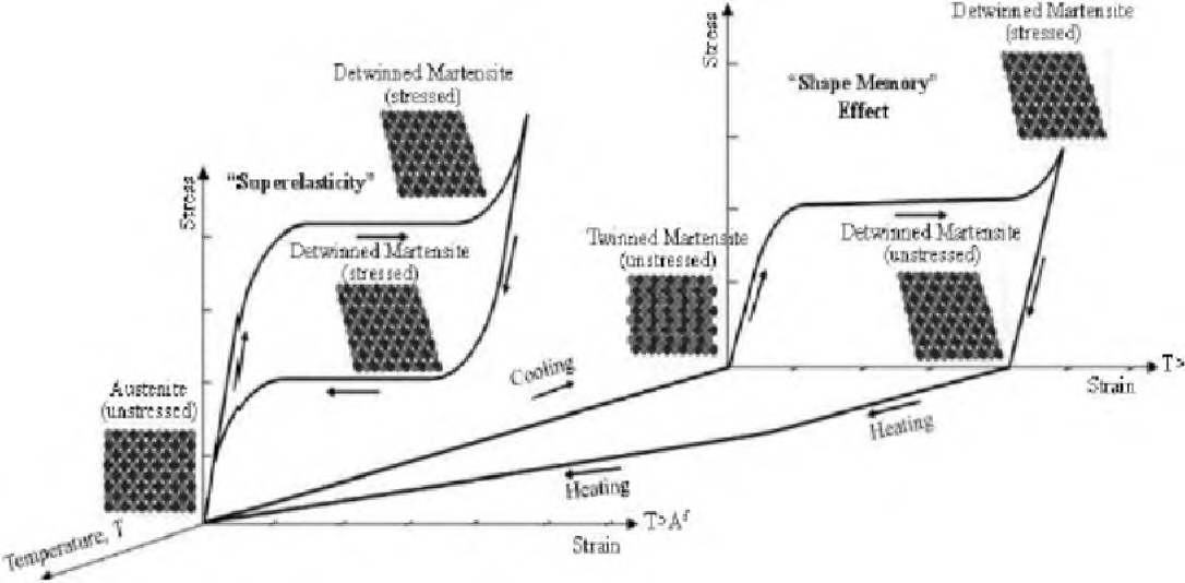 형상기억합금의 초탄성 효과