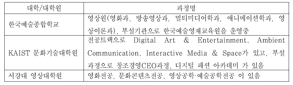 대학의 콘텐츠 인력양성 과정