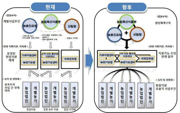 현장밀착형 지원체계 개선 방향