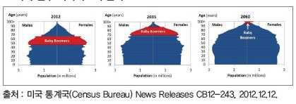 미국 인구 피라미드의 변화