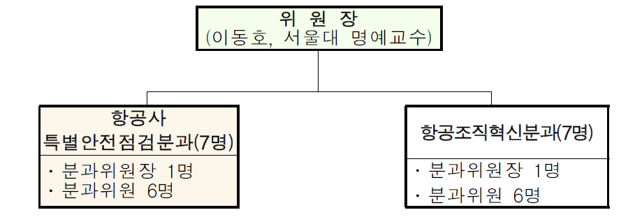 항공안전특별위원회 조직