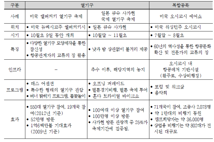 국외 항공레저 축제 사례 분석