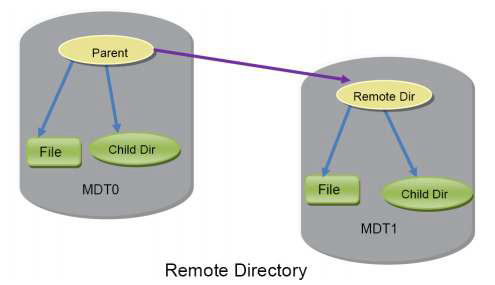 DNE P1 Remote Directories