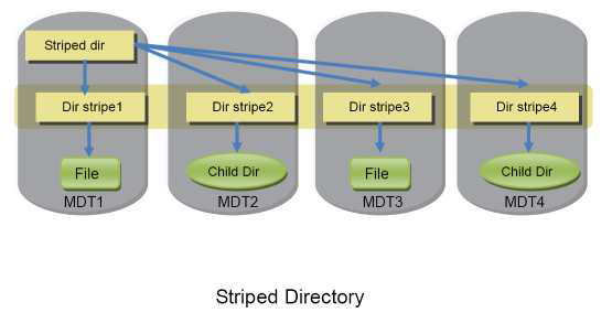 DNE P2 Stripe Directories