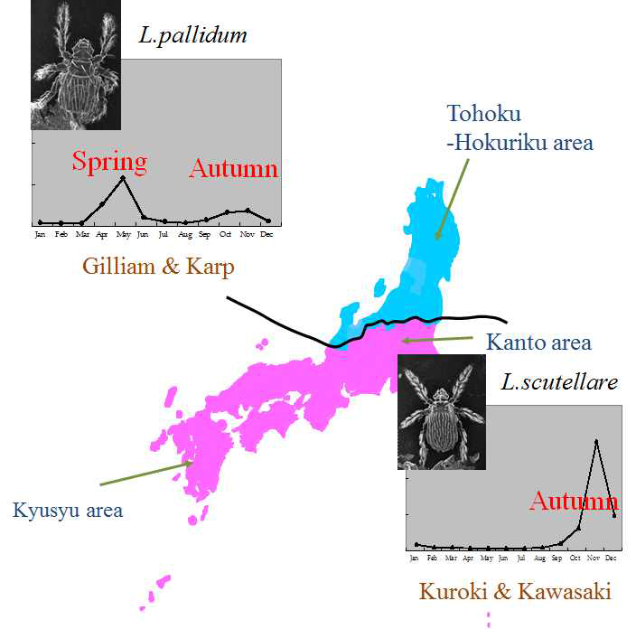 쯔쯔가무시균 및 매개 털진드기 시기별, 지역별 분포(일본, 1998).