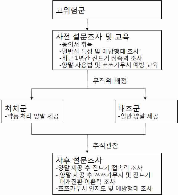 연구과정