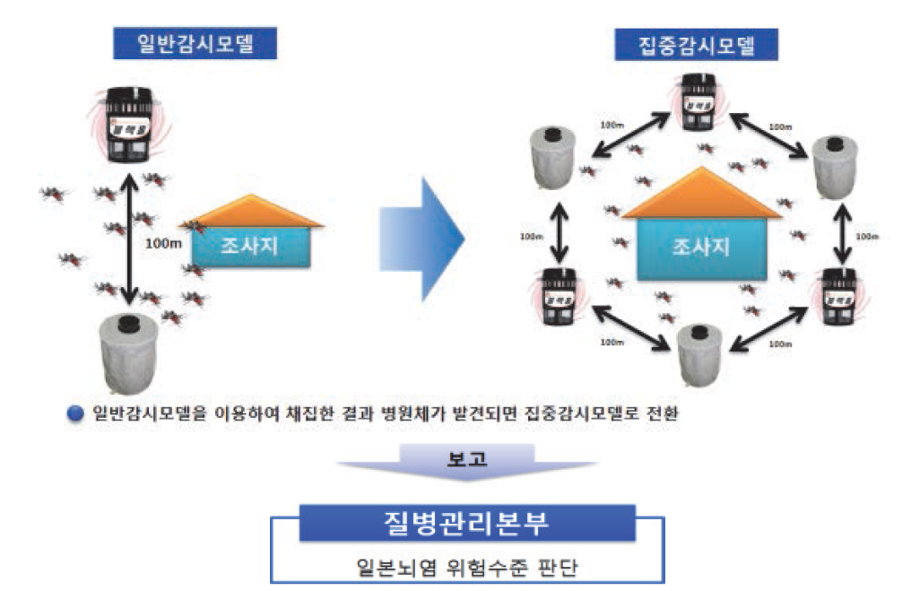 일본뇌염모기 감시를 위한 일반감시모델과 집중 감시 모델.