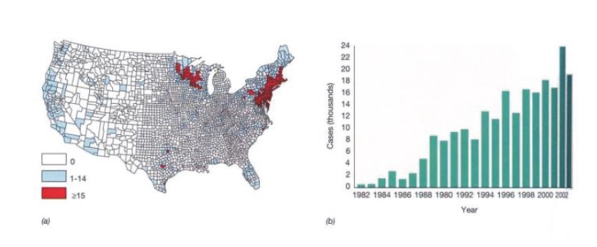 미국의 라임병 분포(라이프사이언스)
