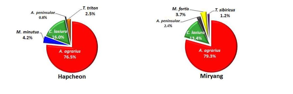 Species rates of rodents collected in Hapcheon and Miryang from April to November, 2014