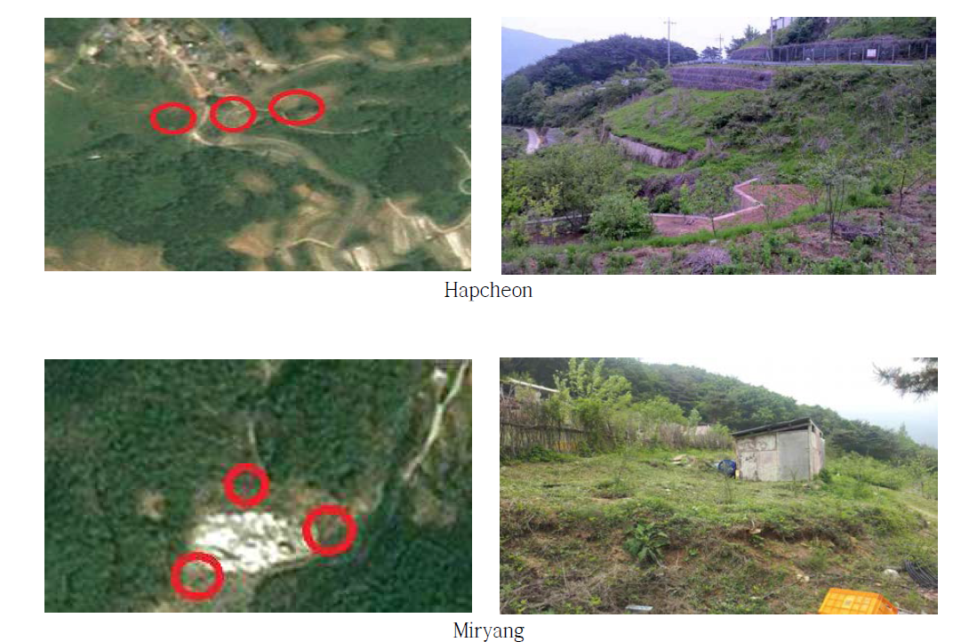 Collection sites of wild rodents for surveillance of scrub typhus in Gyeongnam area