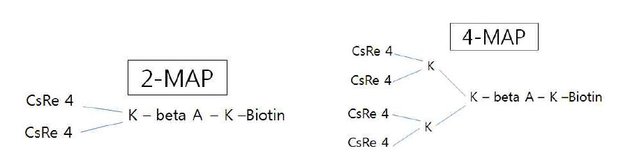 Schematic formation of multiple antigenic peptides, presented with CsRe4.