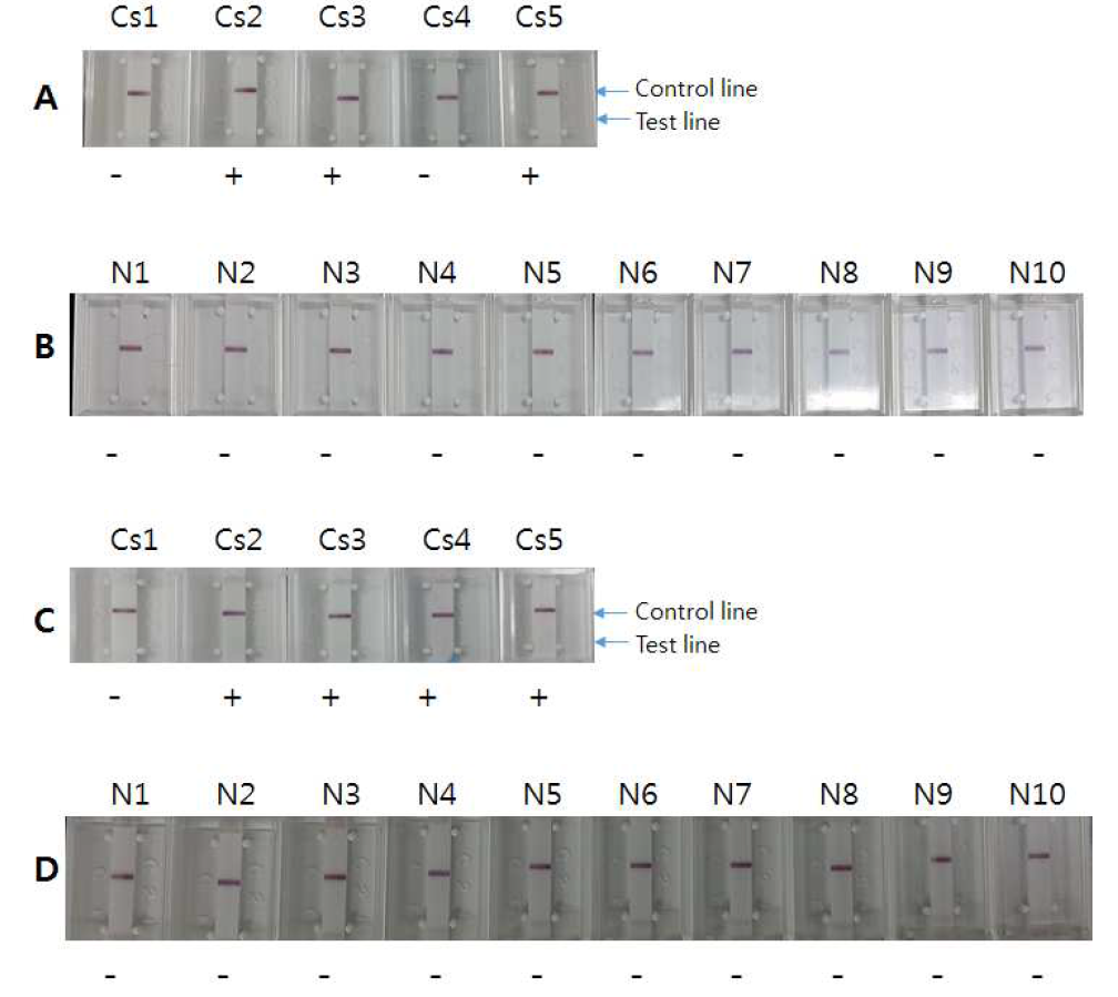 Reactivity of Cs28GST-17F-CsIUD-Re4-Re10 and anti-human IgG RDT against clonorchiasis patient and nornal control sera (Trial 3)