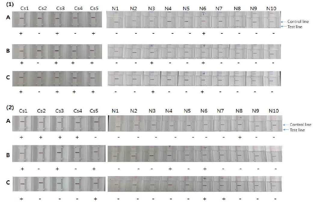 Reactivity of Cs28GST-17F-CsIUD-Re4-Re10 RDT using different concentration of 17B-His antigen as a gold conjugate.