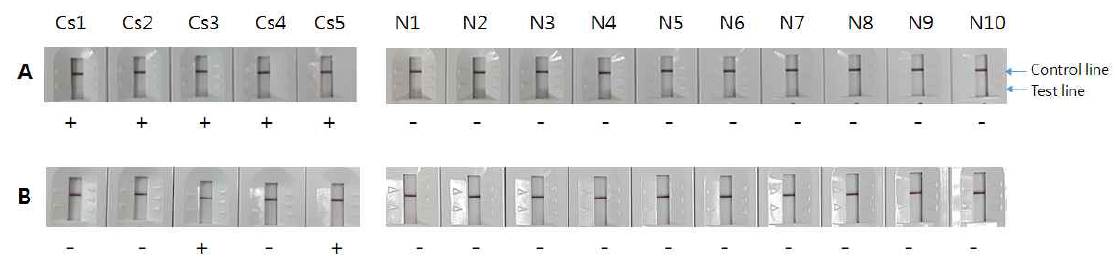 Reactivity of Cs28GST-17F-CsIUD-Re4-Re10 RDT using 17B-His antigen as a gold conjugate (OD 10)